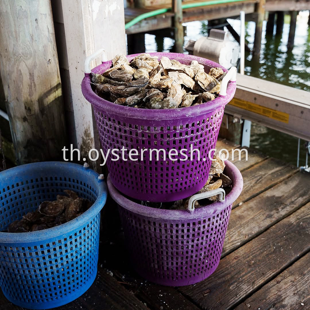 Oyster Transfer Basket (1)
